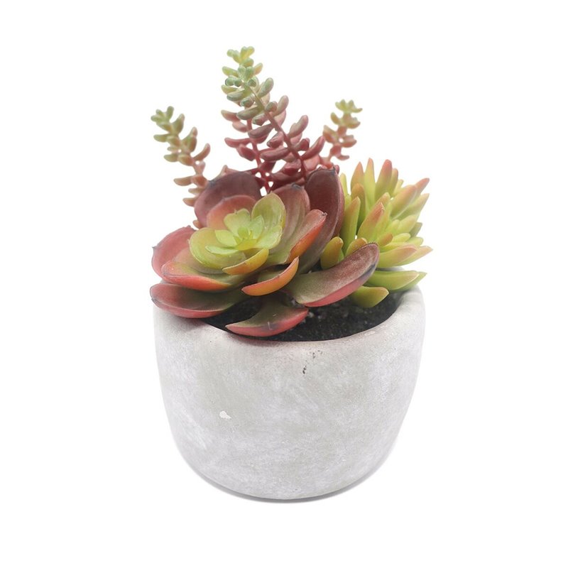 Plante décorative Versa Céramique Plastique 12,7 x 15,24 x 12,7 cm