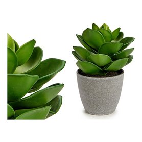Plante décorative Gris 16 x 21 x 16 cm Vert Plastique