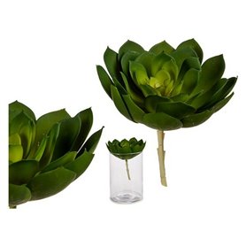 Plante décorative Vert Plastique