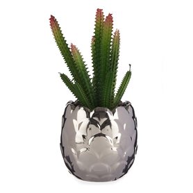 Plante décorative Argenté Cactus Céramique Plastique (8 x 20 x 8 cm)