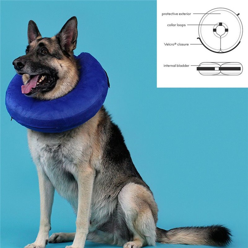 Image secondaire de Collier de récupération pour chiens KVP Kong Cloud Bleu Gonflable (Max. 15 cm)