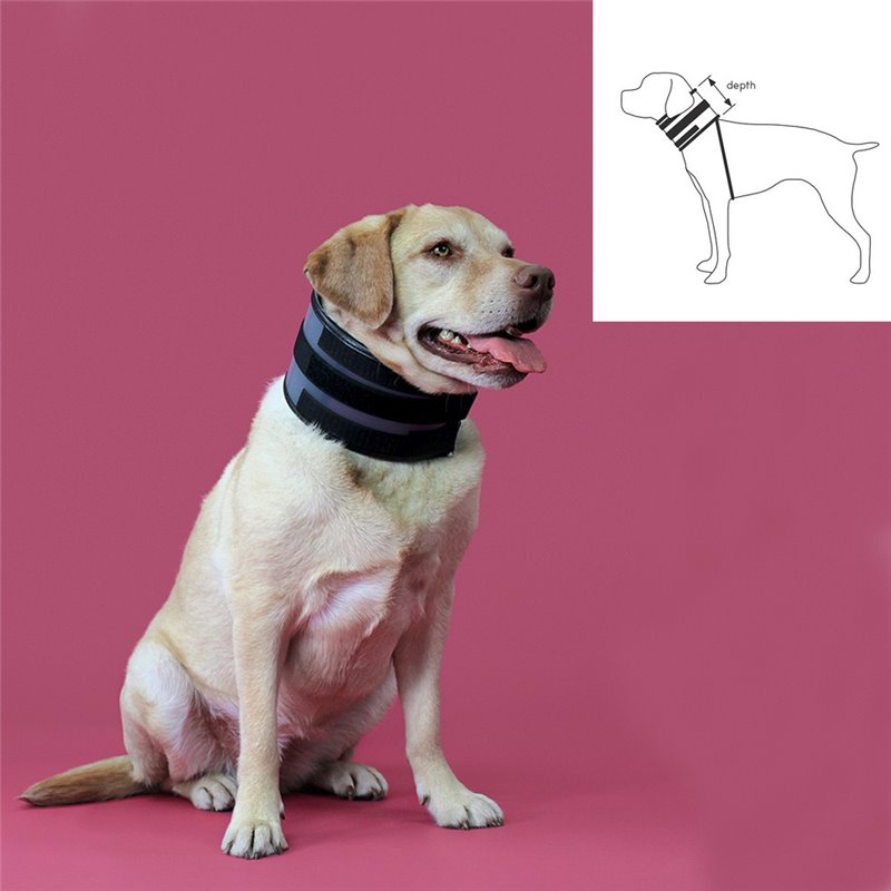 Image secondaire de Collier cervical pour chiens KVP Noir (6-28 cm)