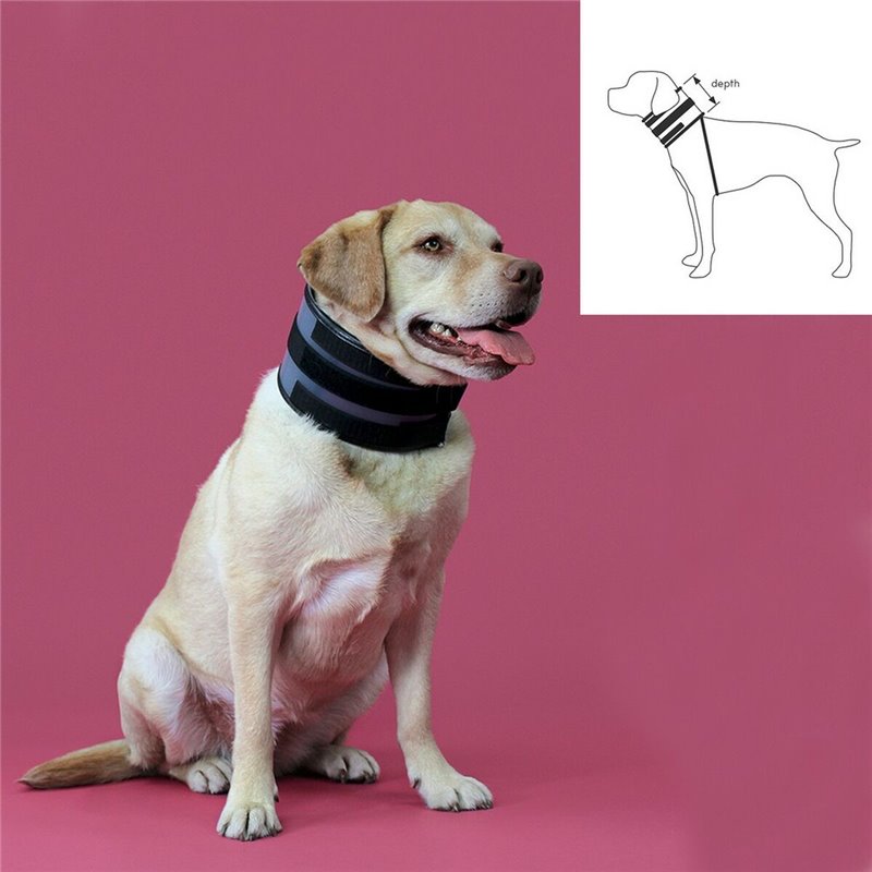 Image secondaire de Collier cervical pour chiens KVP Noir (9-36 cm)