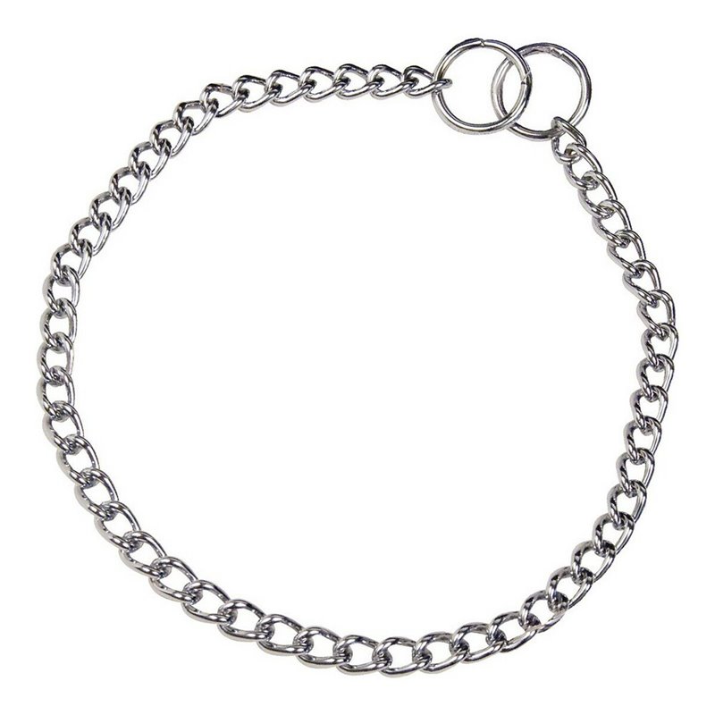 Collier pour Chien Hs Sprenger Argenté 2,5 mm Maillons Torsadé (50 cm)