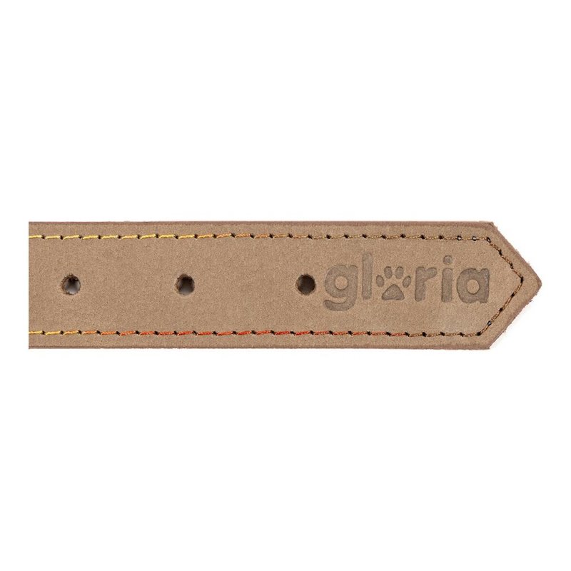 Image secondaire de Collier pour Chien Gloria Oasis Beige (1,2 x 35 cm)