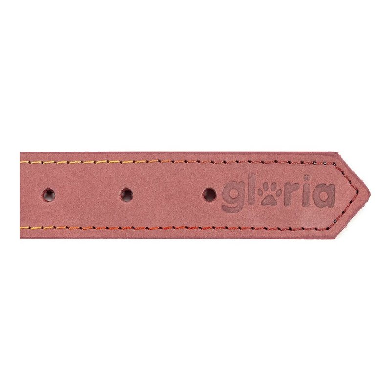 Image secondaire de Collier pour Chien Gloria Oasis Rose (1,2 x 35 cm)