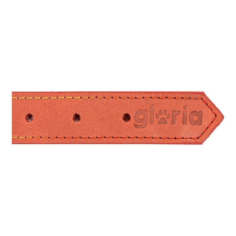 Image secondaire de Collier pour Chien Gloria Oasis Rouge (45 x 1,8 cm)