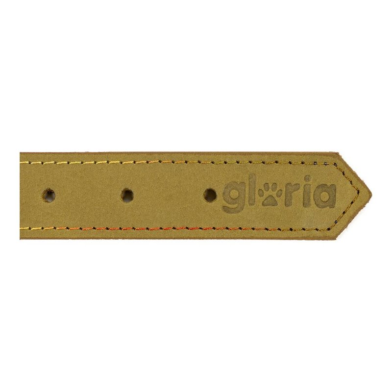 Image secondaire de Collier pour Chien Gloria Oasis Vert (45 x 1,8 cm)