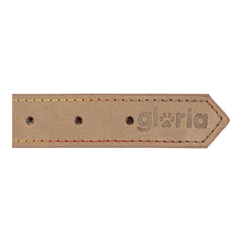 Image secondaire de Collier pour Chien Gloria Oasis Blanc (50 x 2,1 cm)