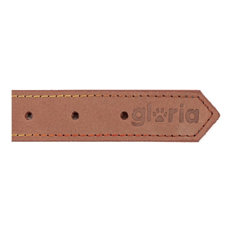 Image secondaire de Collier pour Chien Gloria Oasis Marron (50 x 2,1 cm)