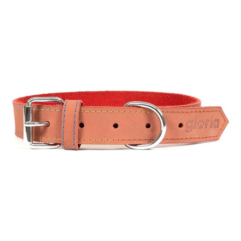 Collier pour Chien Gloria Oasis Rouge (50 x 2,1 cm)