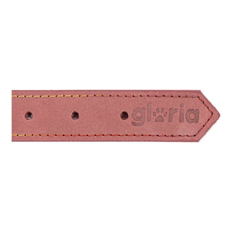 Image secondaire de Collier pour Chien Gloria Oasis Rose (50 x 2,1 cm)