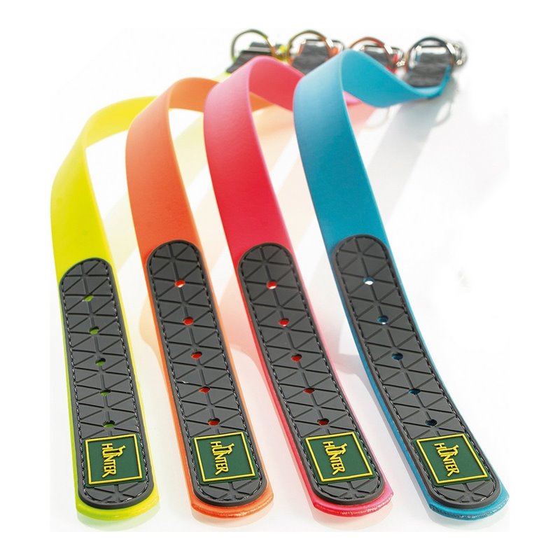 Image secondaire de Collier pour Chien Hunter Convenience Turquoise