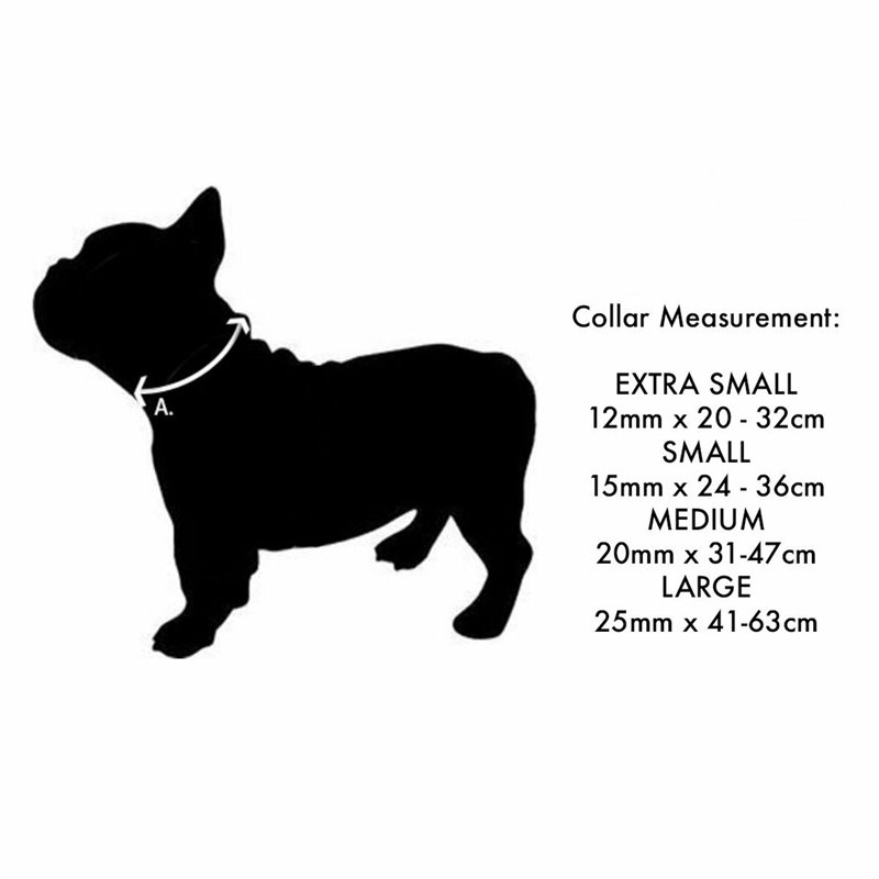 Image secondaire de Collier pour Chien Red Dingo Unicorn 24-37 cm