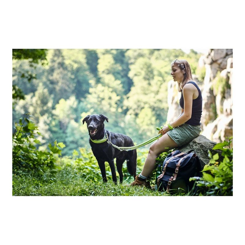 Image secondaire de Laisse pour Chien Hunter HILO Rouge (200 cm)