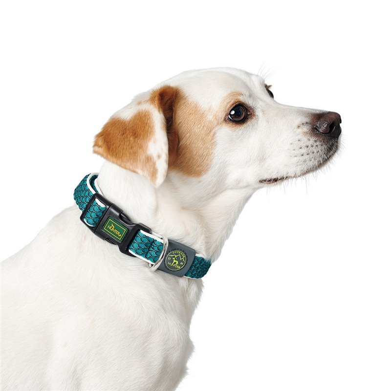 Image secondaire de Collier pour Chien Hunter Vario Basic Fils Turquoise 20