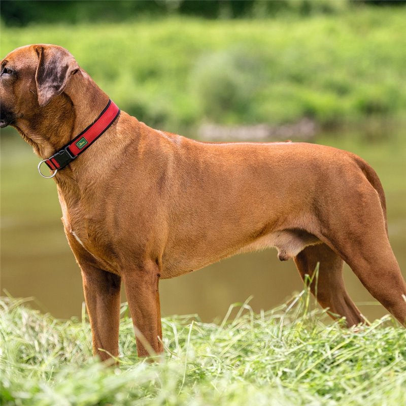 Image secondaire de Collier pour Chien Hunter Neopren Vario Rouge (28-30 cm)