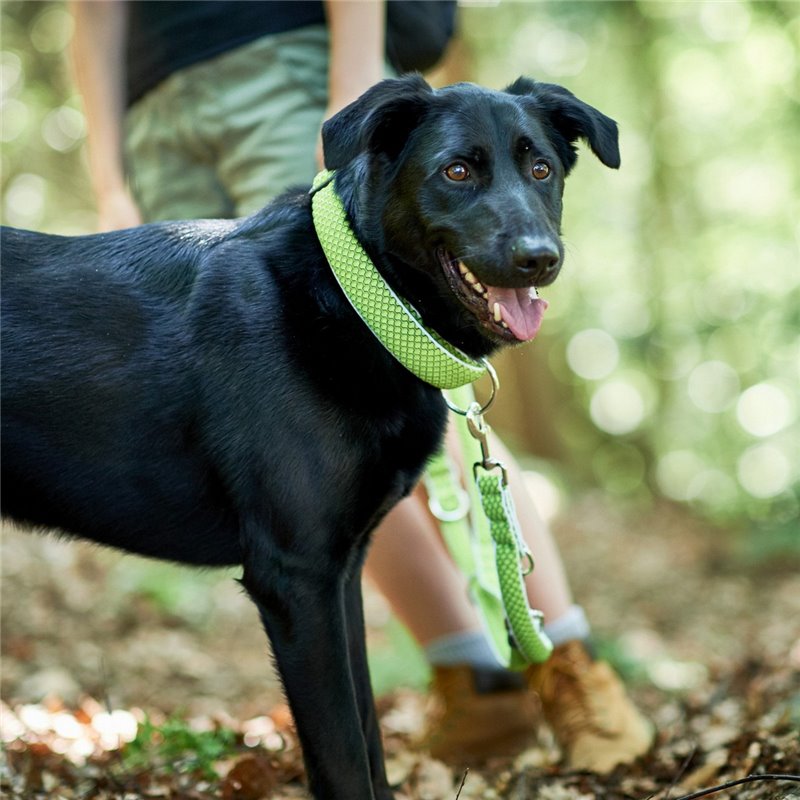 Image secondaire de Collier pour Chien Hunter Vario Plus Fils Taille L Citron (40-60 cm)