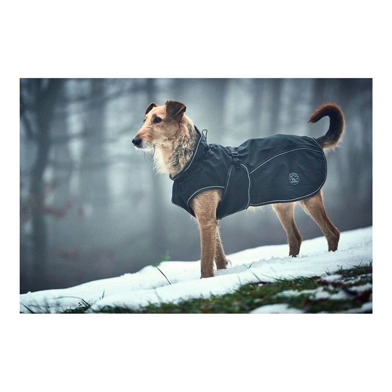 Image secondaire de Manteau pour Chien Norton 360 Uppsala Noir 50 cm