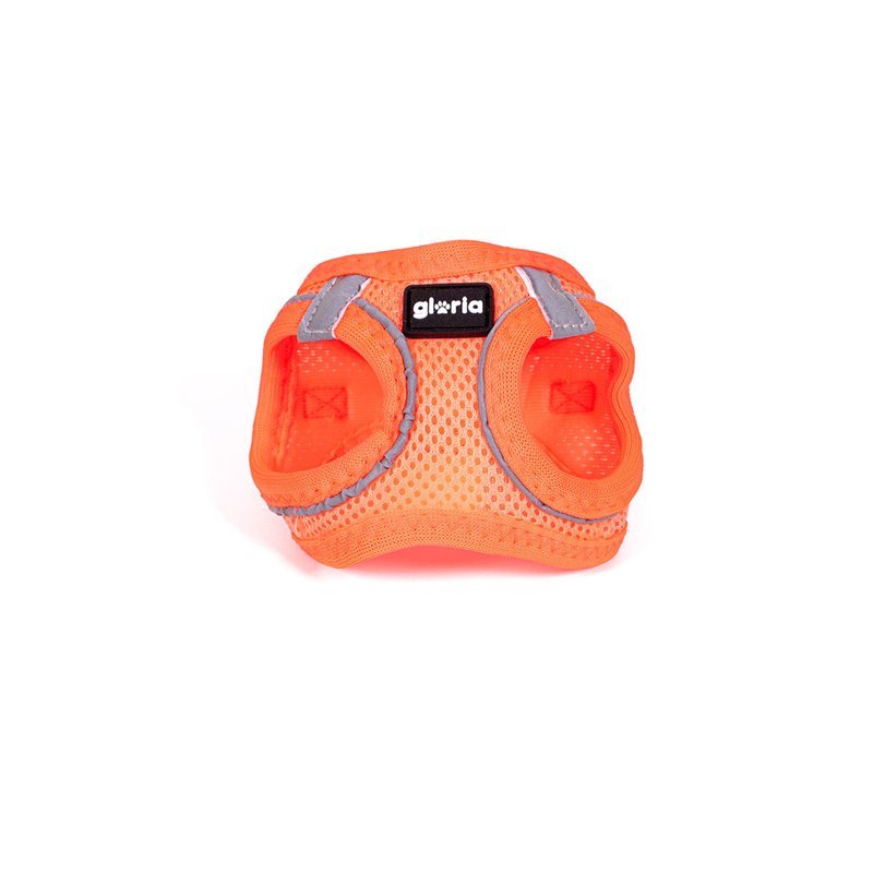 Harnais pour Chien Gloria Trek Star 24-26 cm 28-28,6 cm Orange XXS