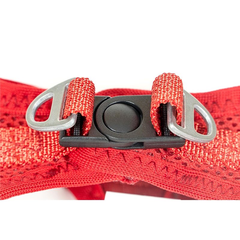 Image secondaire de Harnais pour Chien Gloria Trek Star 24-26 cm 28-28,6 cm Rouge XXS