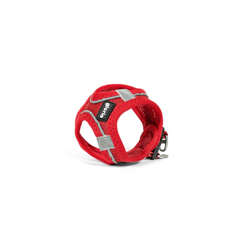 Image secondaire de Harnais pour Chien Gloria Trek Star 29,4-32,6 cm 41,4-43 cm Rouge S