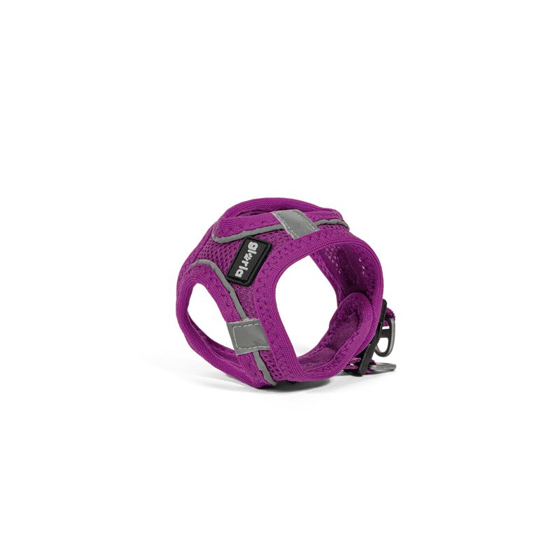 Image secondaire de Harnais pour Chien Gloria Trek Star 32,8-35,4 cm 45-47 cm Violet M