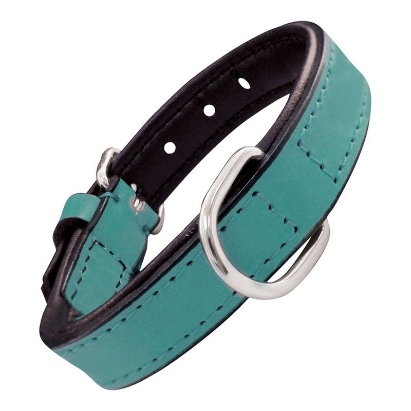 Collier pour Chien Gloria Rembourré Turquoise 40 cm (40 x 2 cm)