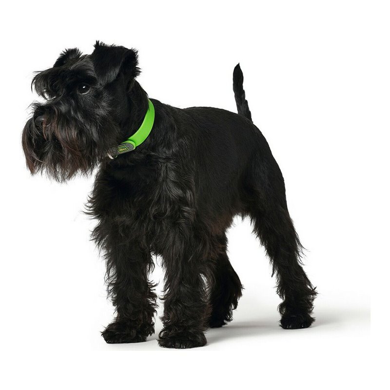 Image secondaire de Collier pour Chien Hunter Convenience Taille M Vert (38-46 cm)