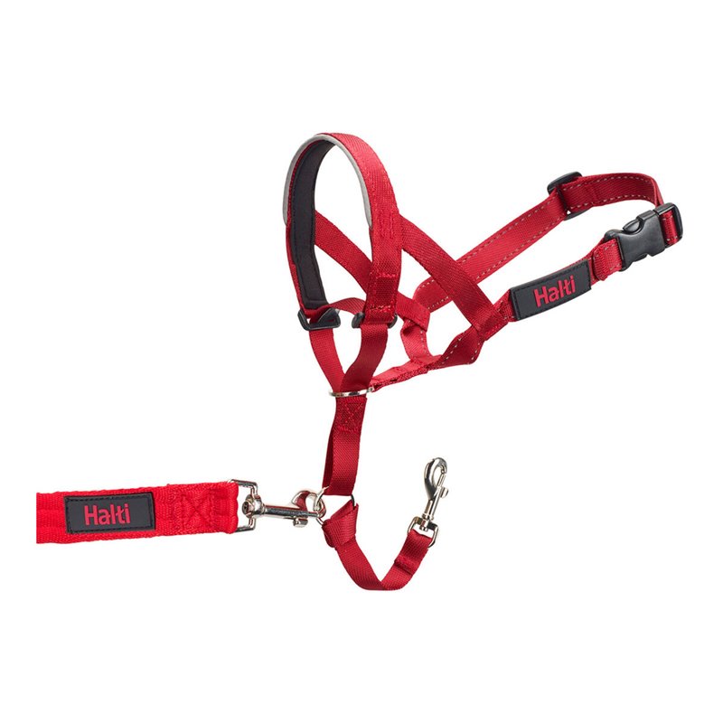 Image secondaire de Collier d'entraînement pour chiens Company of Animals Halti Muselière (35-48 cm)