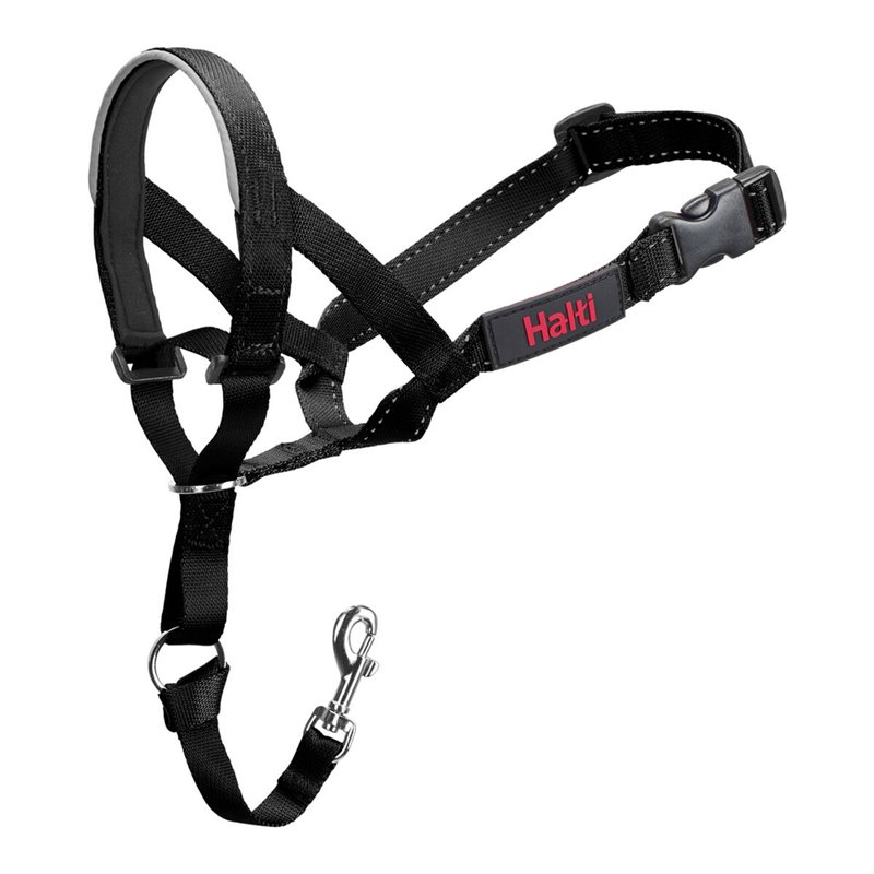 Collier d'entraînement pour chiens Company of Animals Halti Noir Muselière (35-48 cm)