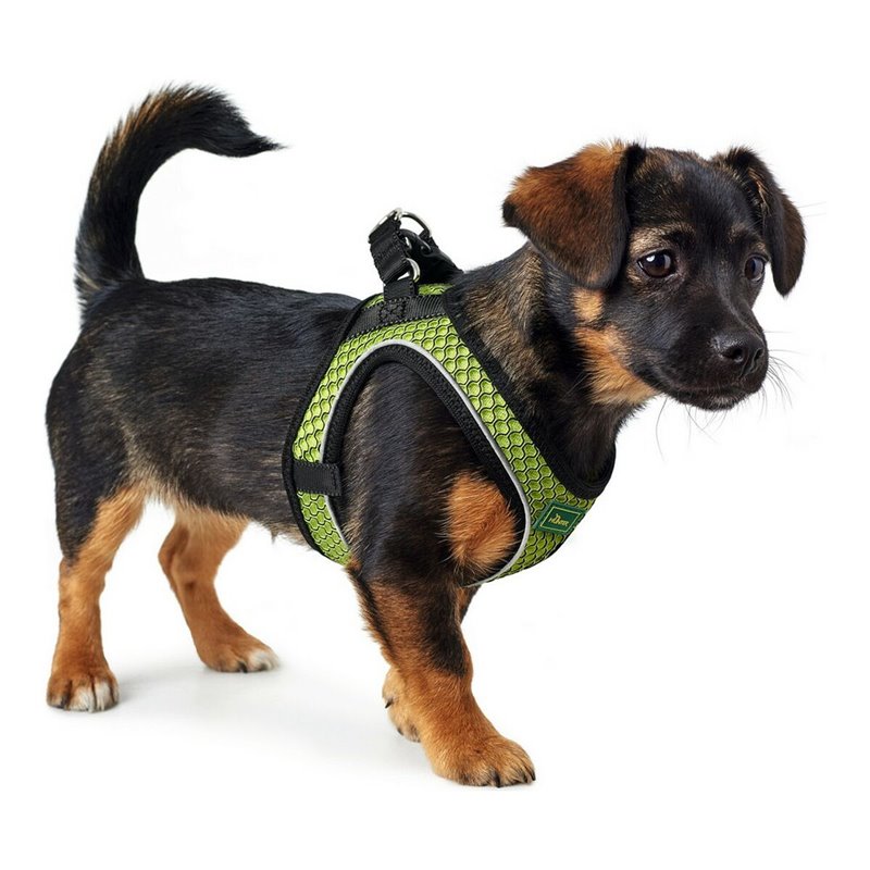 Image secondaire de Harnais pour Chien Hunter Hilo-Comfort Citron Taille XS (35-37 cm)