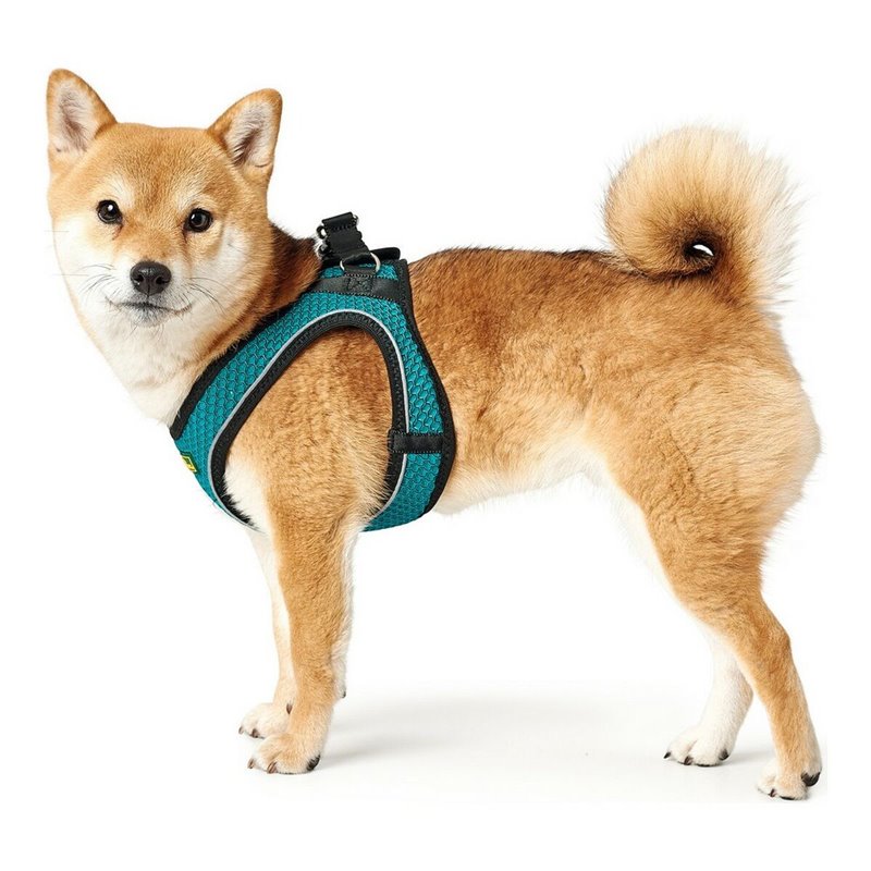 Image secondaire de Harnais pour Chien Hunter Hilo-Comfort Turquoise Taille XS (35-37 cm)