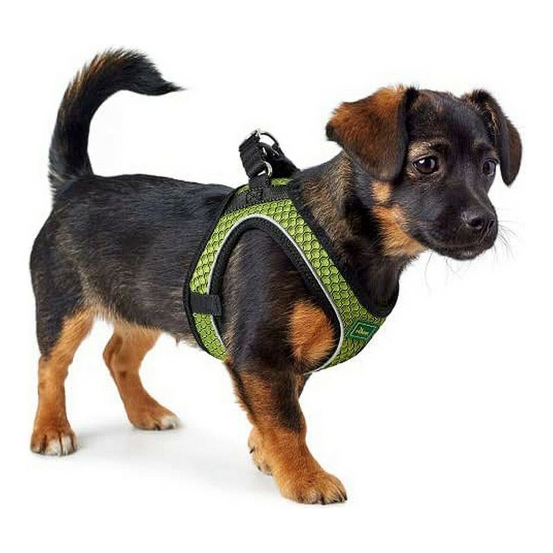 Image secondaire de Harnais pour Chien Hunter Hilo-Comfort Citron Taille M/L (58-63 cm)