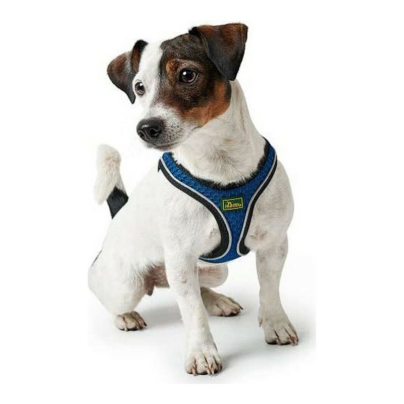 Image secondaire de Harnais pour Chien Hunter Hilo-Comfort Bleu Taille XXS (26-30 cm)