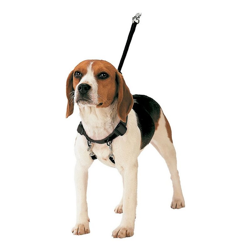 Harnais pour Chien Gloria 30-42 cm Taille M