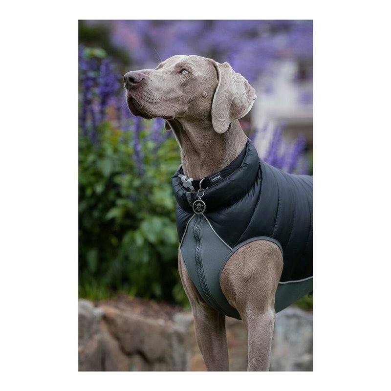 Image secondaire de Manteau pour Chien Red Dingo Puffer Noir/Gris 25 cm