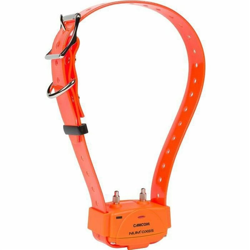 Collier d'entraînement pour chiens Num'Axes Orange