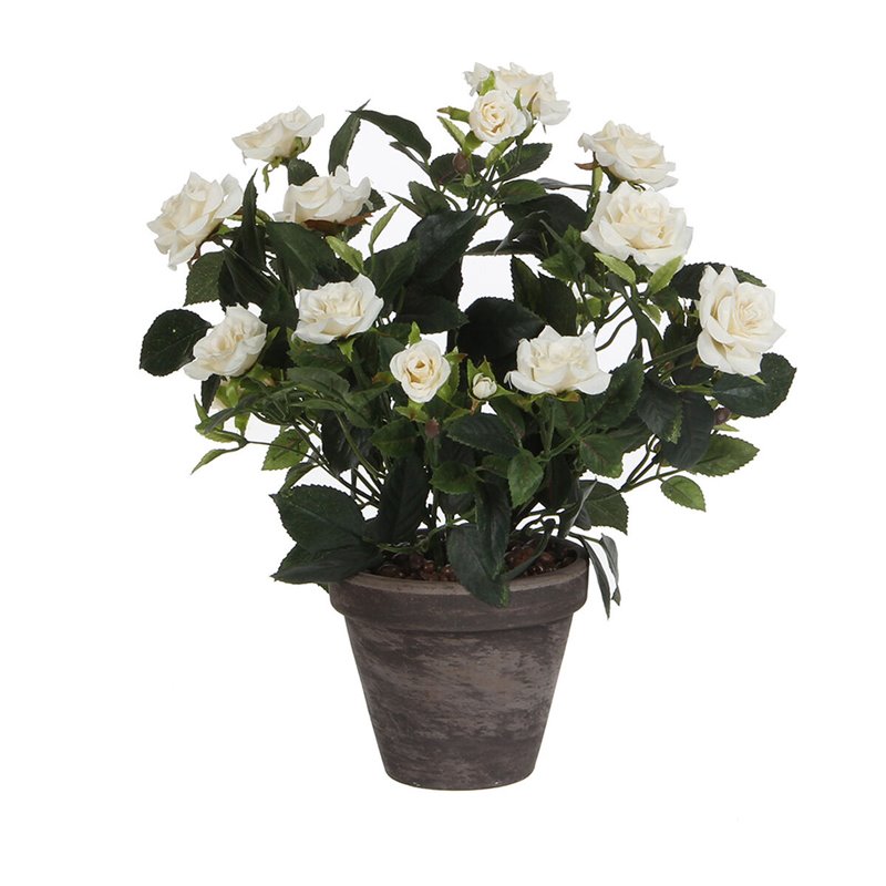 Plante décorative Mica Decorations Rosal Céramique PVC