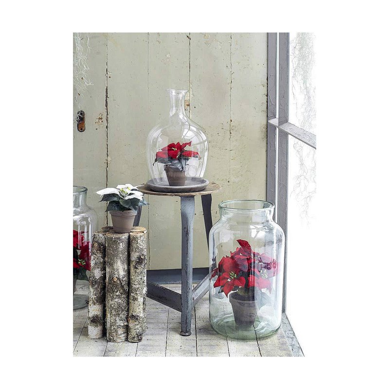 Image secondaire de Plante décorative Mica Decorations Rouge PVC