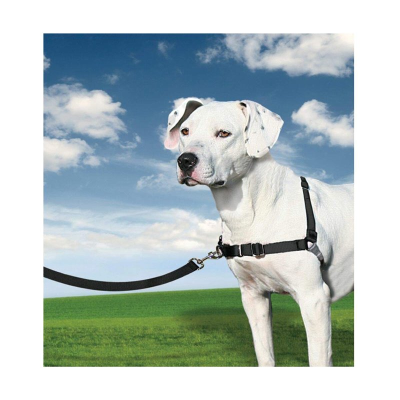 Image secondaire de Harnais pour Animaux Domestiques PetSafe Easy Walk Noir Medianav (M)