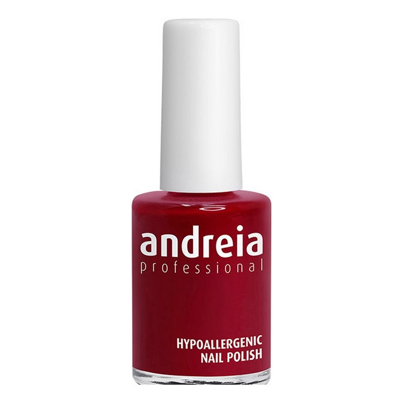 Vernis à ongles Andreia Professional Hypoallergenic Nº 117 (14 ml)