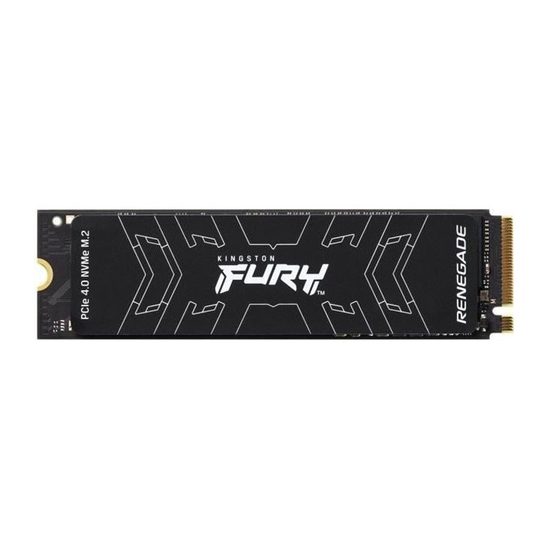 Kingston Technology 1000G FURY RENEGADE M.2 2280 NVMe SSD