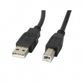 Câble USB 2.0 A vers USB B Lanberg 480 Mb/s Noir 5 m