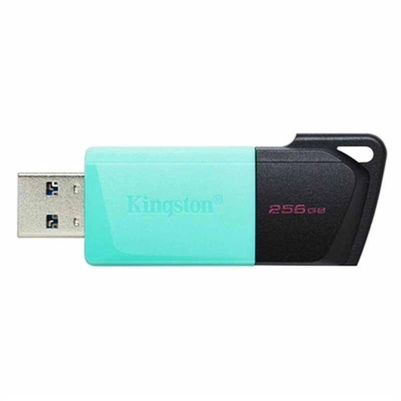 Kingston Technology DataTraveler 256GB USB3.2 Gen1 Exodia M (Noir + Turquoise)