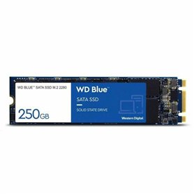 Disque dur Western Digital SA510 500 GB SSD 500GB