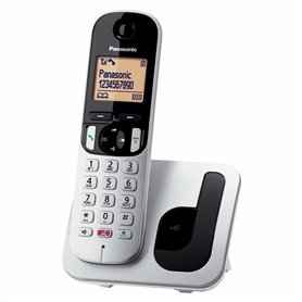 Téléphone Panasonic KX-TGC250 Gris Sans fil