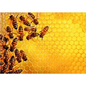 Puzzle 1000 p ruche abeilles
