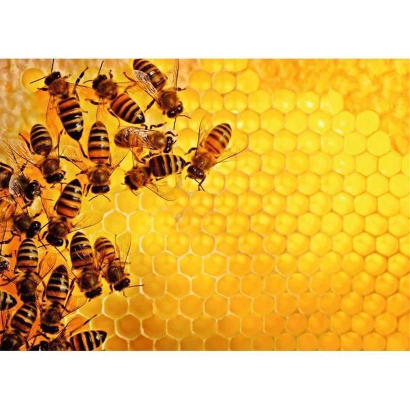 Ravensburger Puzzle 1000 p - La ruche aux abeilles (Challenge Puzzle)