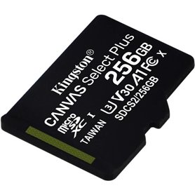 Kingston Canvas Select Plus Carte MIcro SD SDCS2-256GBSP Class 10456